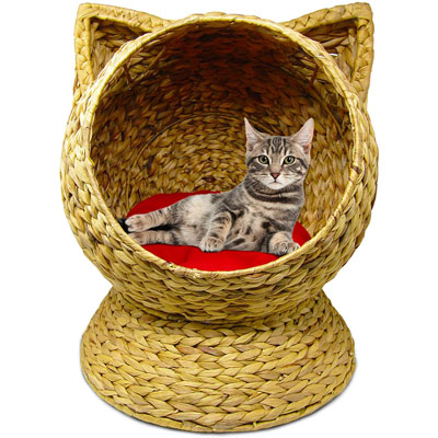 Raised And Elevated Cat Beds