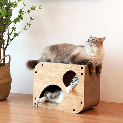 Modern And Stylish Cat Trees, Beds, Condos, And Caves