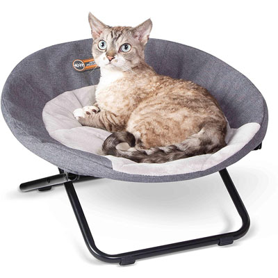 Raised And Elevated Cat Beds