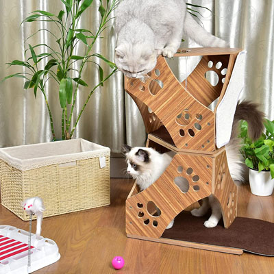 Modern And Stylish Cat Trees, Beds, Condos, And Caves