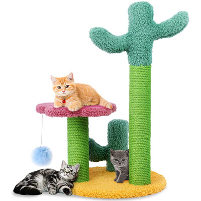 Unique Scratching Posts