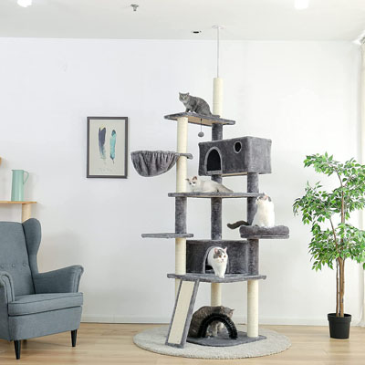 Floor To Ceiling Cat Trees And Scratching Posts For Your Favorite ...