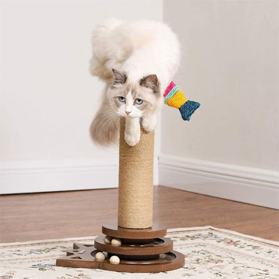 Unique Scratching Posts
