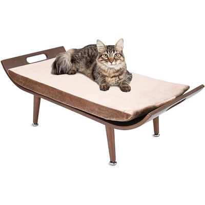 Modern And Stylish Cat Trees, Beds, Condos, And Caves