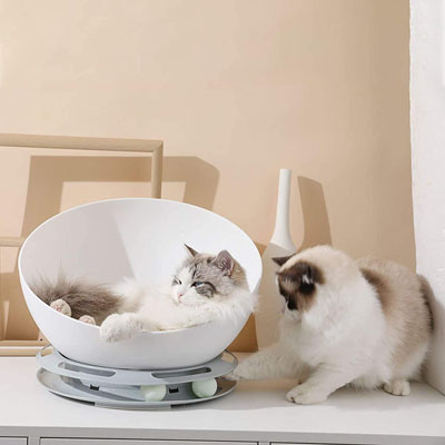 Raised And Elevated Cat Beds