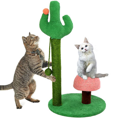 Unique Scratching Posts