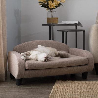 Raised And Elevated Cat Beds