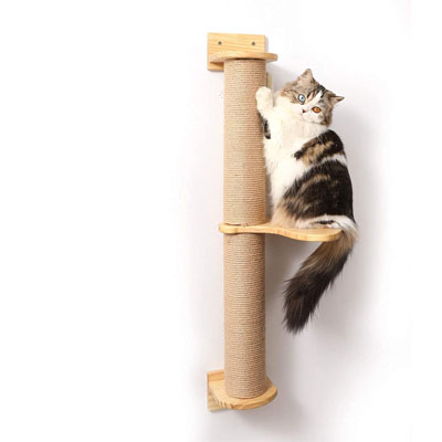 Unique Scratching Posts