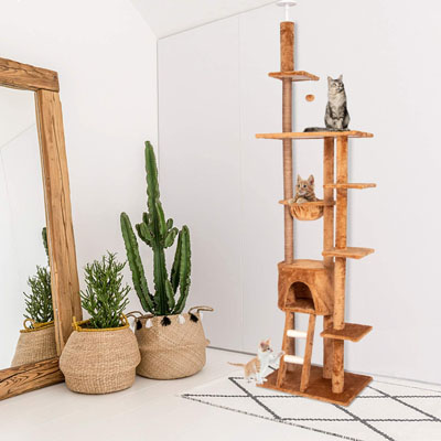 Floor To Ceiling Cat Trees And Scratching Posts