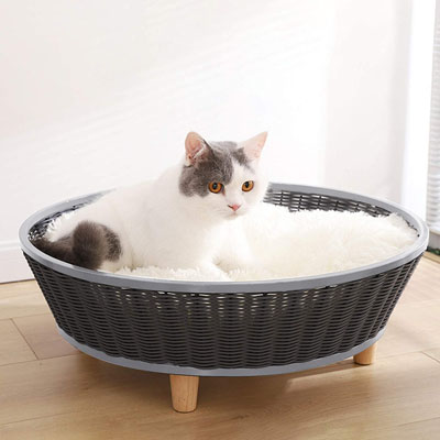 Raised And Elevated Cat Beds