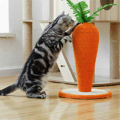 Unique Scratching Posts You And Your Kitty Will Love! – Meow As Fluff