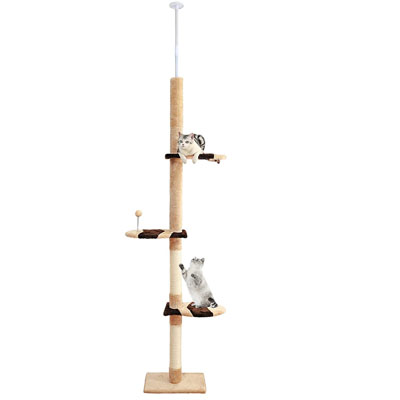 Floor To Ceiling Cat Trees And Scratching Posts
