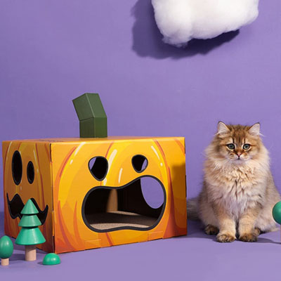 Halloween Cat Toys, Houses, And Scratchers
