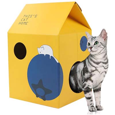 Quirky And Cool Cardboard Cat Houses
