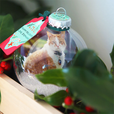 diy cat christmas ornmanents