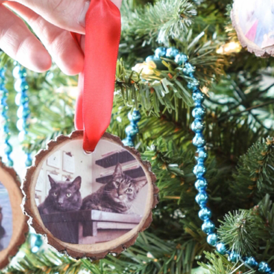 diy cat christmas ornmanents