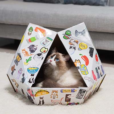 Quirky And Cool Cardboard Cat Houses