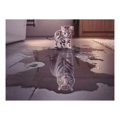 kitten and cat jigsaw puzzles