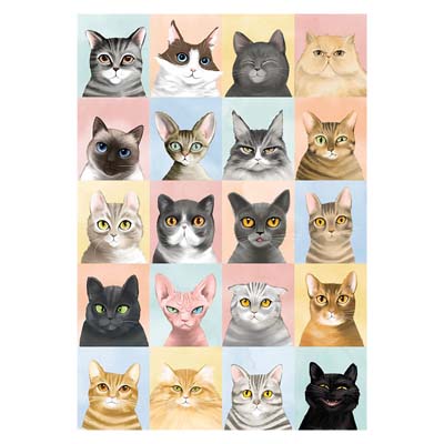 kitten and cat jigsaw puzzles