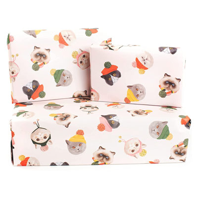  CENTRAL 23 Birthday Wrapping Paper - Cats in Party Hats - 6  Sheets of Wrapping Paper for Her - For Girls and Boys - Cat Gift Wrap for  Pet Owner With Tags - Recyclable : Pet Supplies