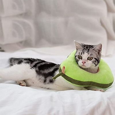 Fun And Functional E-collars, Soft Cones, And Elizabethan Collars Cats