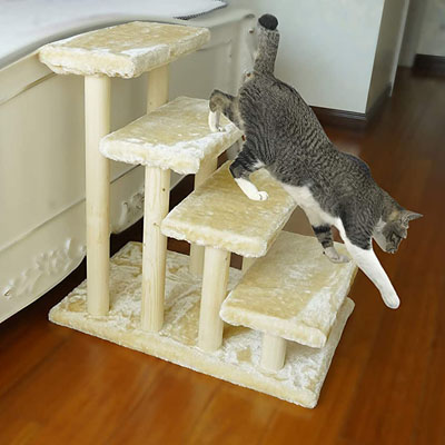Pet Stairs And Steps For Special Needs Cats
