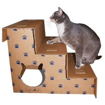 Pet Stairs And Steps For Special Needs Cats