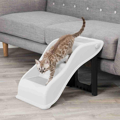 Pet Stairs And Steps For Special Needs Cats