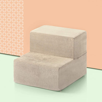Pet Stairs And Steps For Special Needs Cats