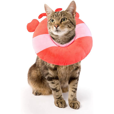 Fun And Functional E-collars, Soft Cones, And Elizabethan Collars Cats