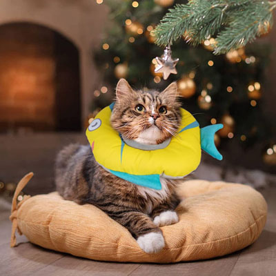 Fun And Functional E-collars, Soft Cones, And Elizabethan Collars Cats