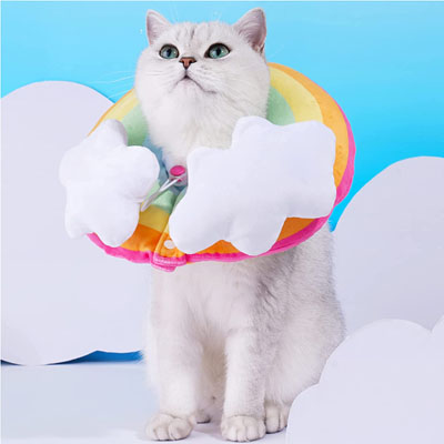 Fun And Functional E-collars, Soft Cones, And Elizabethan Collars Cats