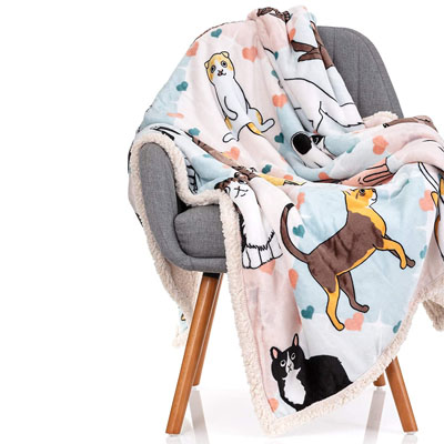 cat throw blanket