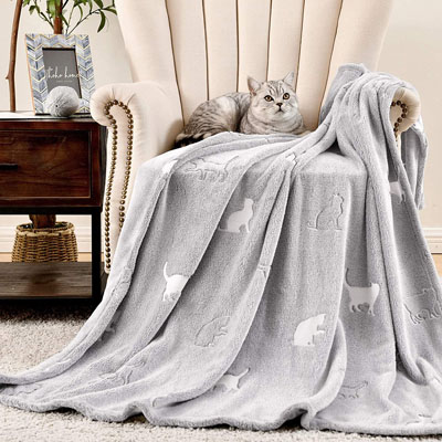 cat throw blanket
