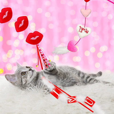 valentines day cat toys