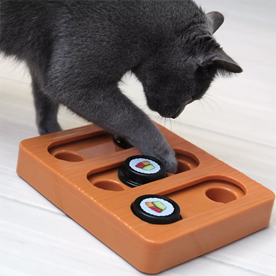 Cat Treat Dispenser Interactive Kitten Puzzle Toys Feeding Puzzles