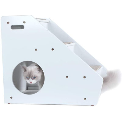 Pet Stairs And Steps For Special Needs Cats