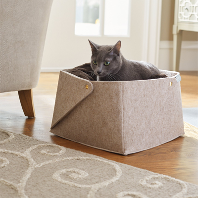 Stylish And Modern Cat Beds