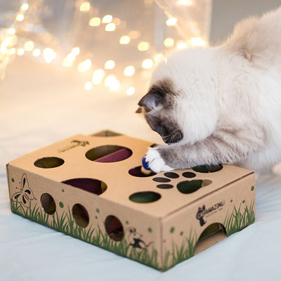 Petstages Interactive Cat Puzzles, Slow Feeders, and Treat Dispensing Toys Treat  Puzzle Treat Puzzle