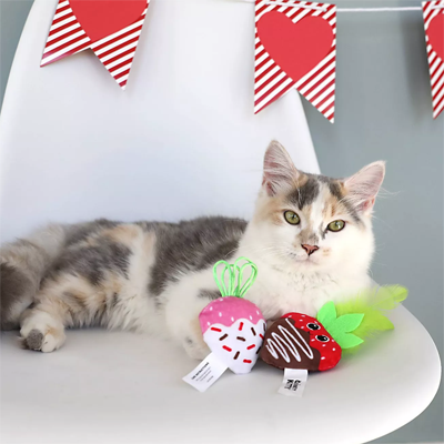 valentines day cat toys