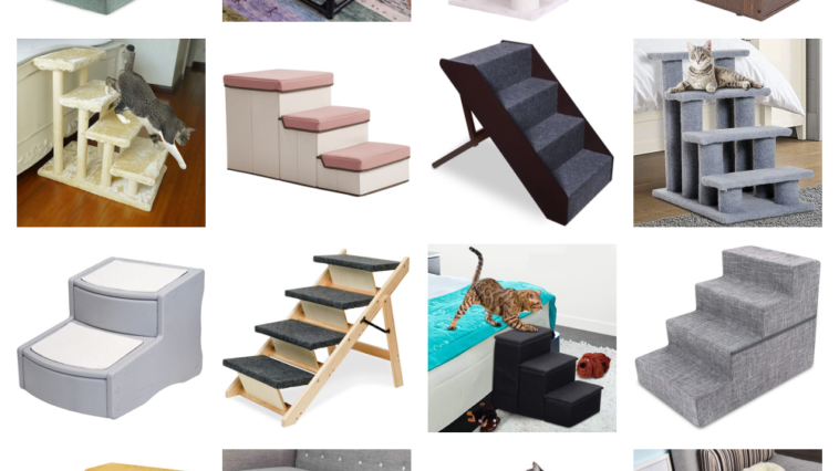 cat stairs and steps feature