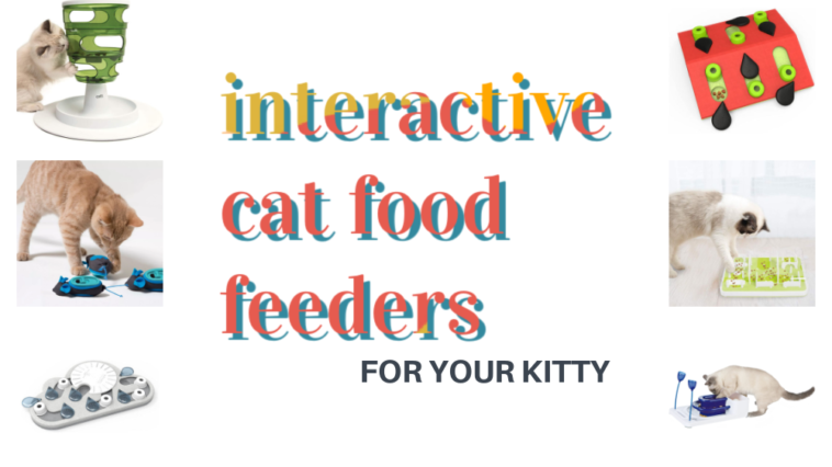 Interactive Cat Feeders feature