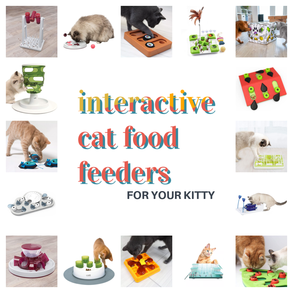 https://meow.af/wp-content/uploads/2022/01/interactivecatfoodfeedersfeature.png