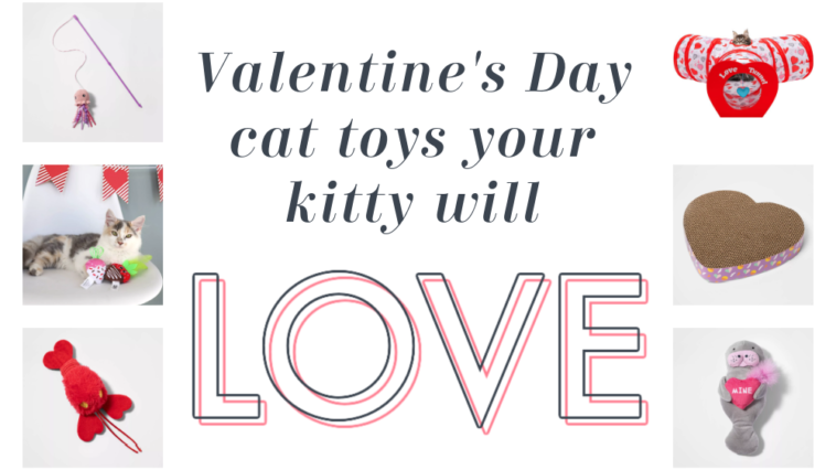 valentines day cat houses toys feature