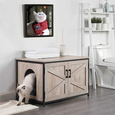 Cat Litter Box Enclosures