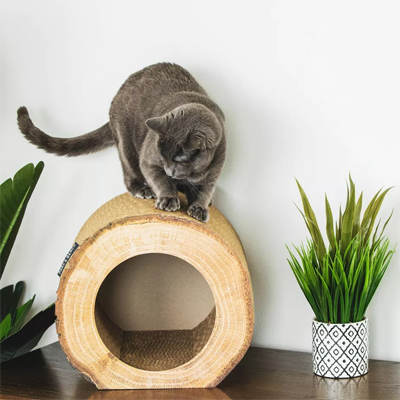 Cardboard Cat Houses