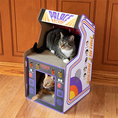 Cardboard Cat Houses