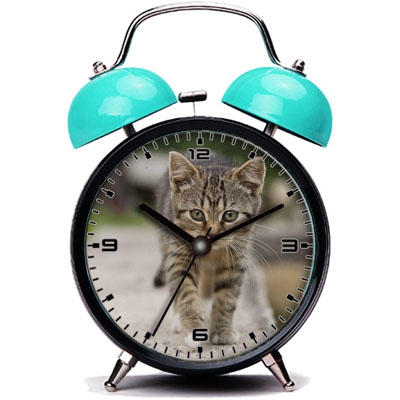 Cat Alarm Clocks