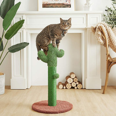 Cool Cactus Scratching Posts And Cat Trees Your Kitty Will Love – Meow 