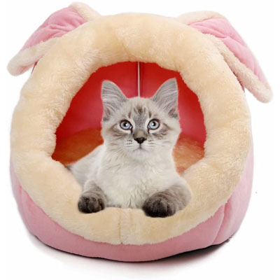 Easter Cat Toys, Cave Beds, Scratchers, Houses, And Scratching Posts